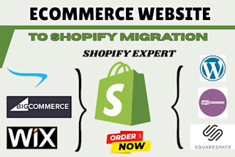 migrate streetwear ecommerce website to shopify with zero data loss