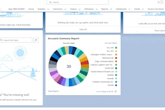 create custom salesforce reports and dashboards