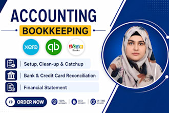 manage your xero accounting and bookkeeping professionally