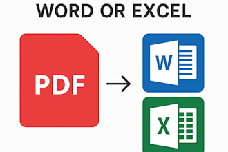 do data convert, image to text, excel, work,  copy paste