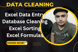 do fast and accurate data entry, excel data cleaning