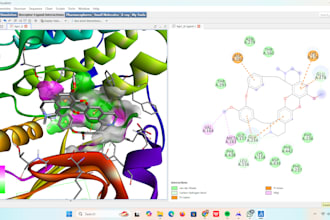run molecular docking for drug discovery