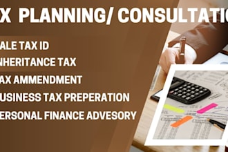 provide expert tax planning, amendments, and CPA review services