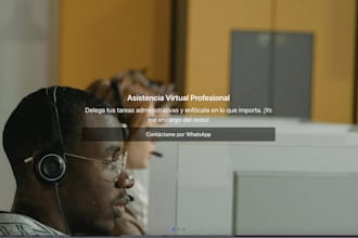 design a professional landing page for virtual assistants or freelancers