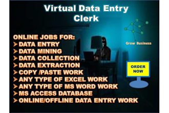 do data entry , manual data entry, pdf to excel