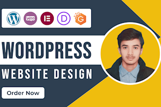 build a professional modern and responsive wordpress website