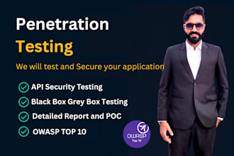 penetration testing pentest web application testing api testing