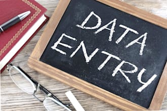 do data entry in excel, spss, google sheets