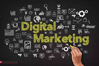 transform your digital marketing strategy