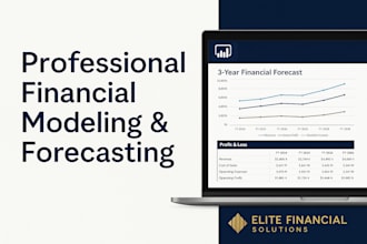financial model with 3 year cash flow and profit forecast