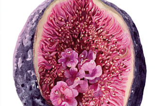 draw botanical illustration of flower illustration