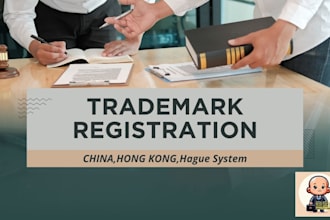 provide professional trademark registration services