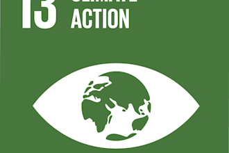 do market research, analysis, reports on carbon credits, climate change