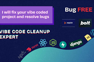 fix bugs in vibe coded website or app, replit lovable etc