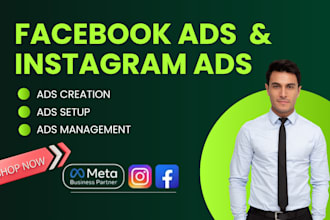setup facebook ads and instagram ads for maximum ROI