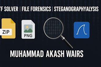 solve digital forensics, steganography, and ctf problems