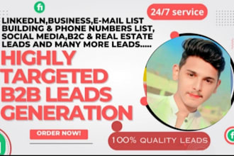 data entry b2b lead generation linkedin lead generation