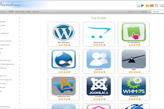 install any cms like opencart and any theme