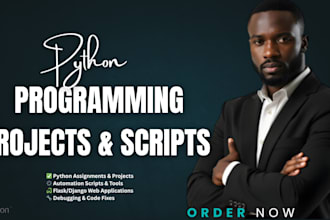 do your python programming projects, scripts, and tasks