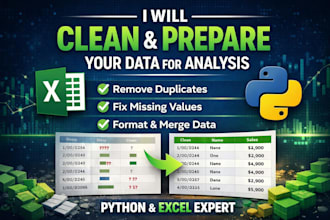 clean and prepare your data for analysis, python or excel