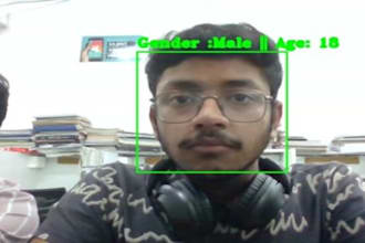 train a customized computer vision model
