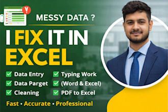 provide excel data entry, formatting, and cleanup services