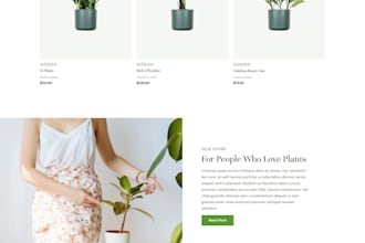 design, redesign and develop you an elegant website