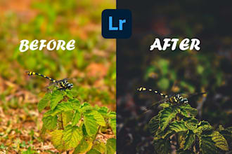 do picture editing as per your need retouching and cinematic