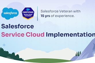 be your sales and service cloud salesforce developer