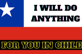 anything for you in chile run errands tasks and be your virtual assistance