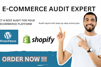 audit your wordpress website shopify store audit  increase cro wordpress SEO