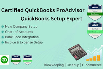 do professional quickbooks setup, cleanup, and bookkeeping
