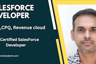 be your salesforce developer for cpq, revenue and sales cloud