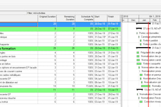 create professional project schedules using primavera p6