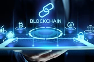 make blockchain fork like solana, xrp, eth, bnb scripting