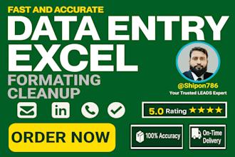 do fast and accurate data entry, excel formatting, and cleanup