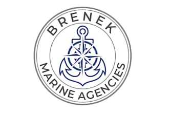 make an modern marine, skull, nautical, anchor logo design