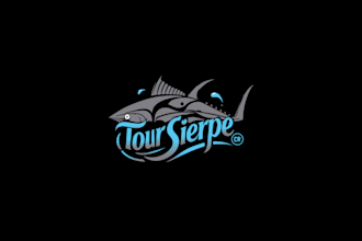 design eye catching boat, ship, and sailing logo in high resolution