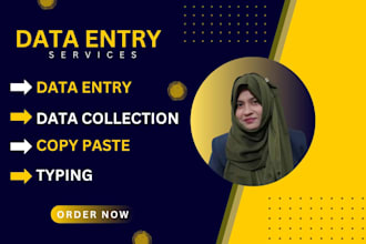 do  data entry services
