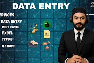 professional bookkeeping and financial data entry in excel