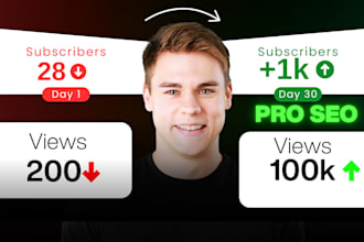 do organic youtube video promotion