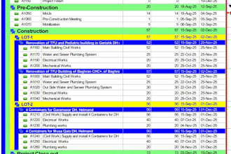 create project plans, scheduling, and gantt charts