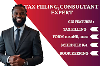 file usa tax return schedule k1, 1040 nr, 1120, 1065, llc tax, 5472, cpa audit