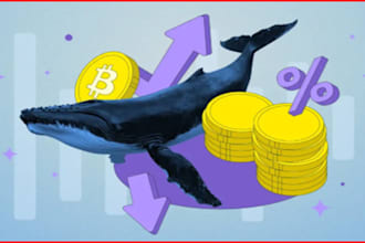 do crypto pumpfun promotion to 400k users and get 200k whale investors