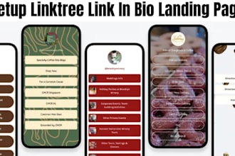 setup linktree, beacons, taplink, or link in bio landing page