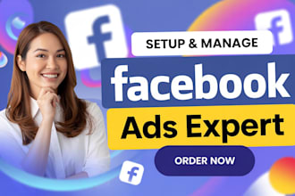 manage facebook ads and meta conversion campaigns with pixel setup