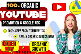 do youtube channel promotion and growth with organic followers