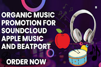 organic music promotion for soundcloud, apple music and beatport