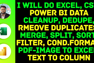 do excel data cleanup dedupe sorting conditional formatting