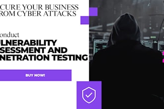 test your website for security vulnerabilities and provide a full report